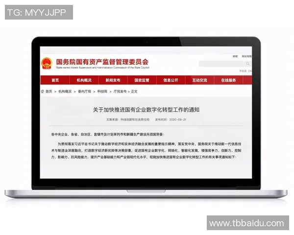 红桃国际API开放平台助力企业数字化转型与创新发展新机遇