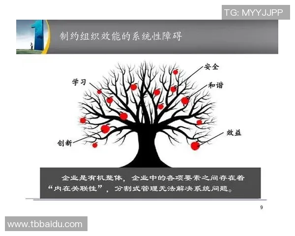 国际广播中心的宏伟布局与高效协作模式探讨